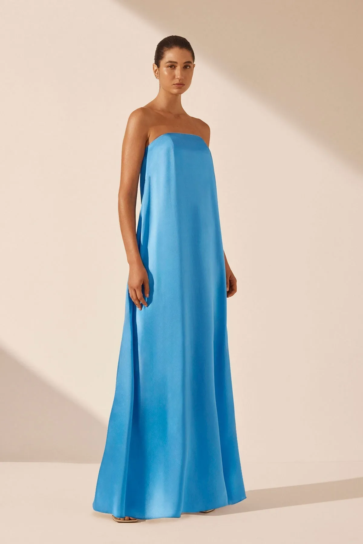 CIEL SILK STRAPLESS COLUMN MAXI DRESS